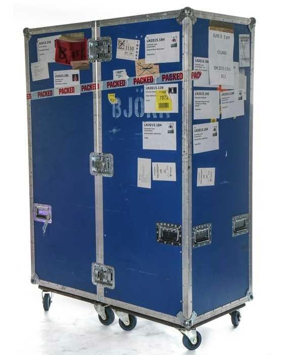 Bjork travel case