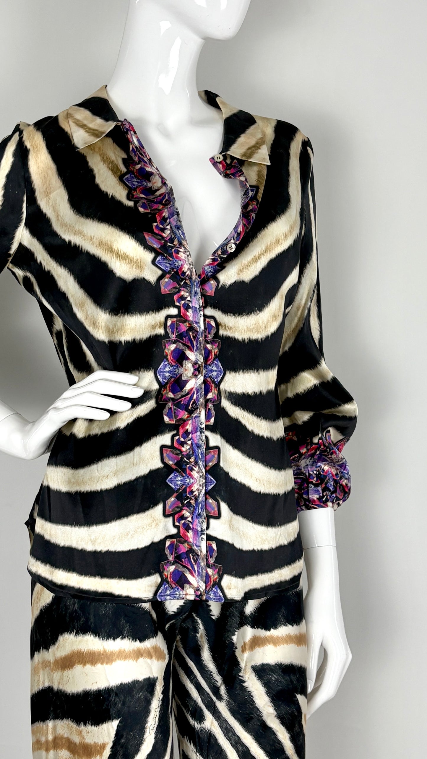 Roberto Cavalli zebra and gemstone print ensemble