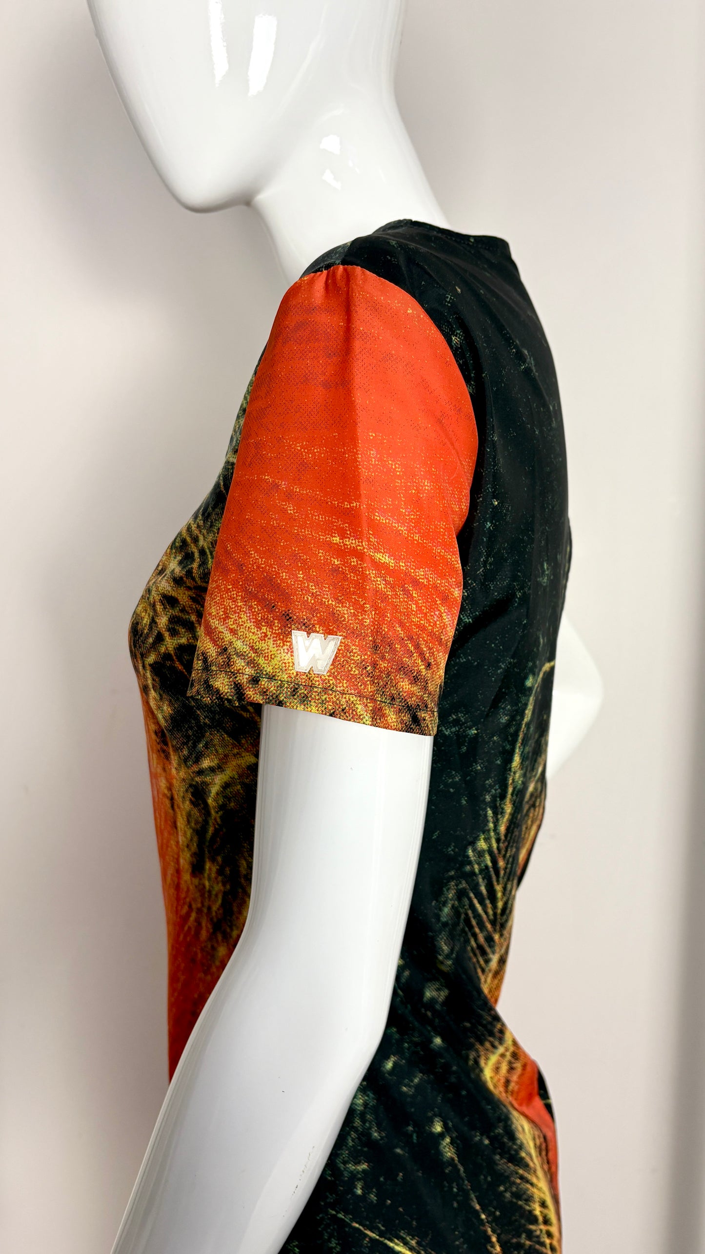 Walter Van Beirendonck phoenix dress
