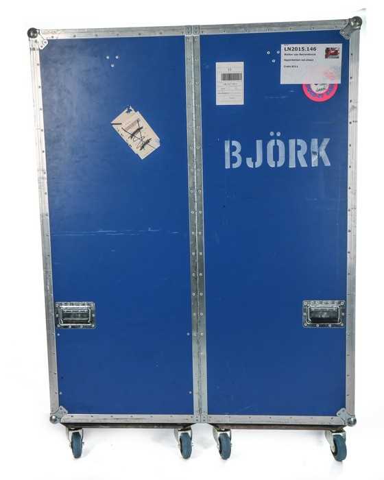 Bjork travel case