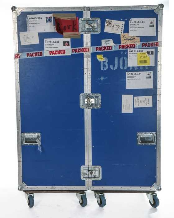 Bjork travel case