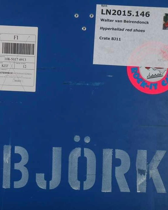 Bjork travel case