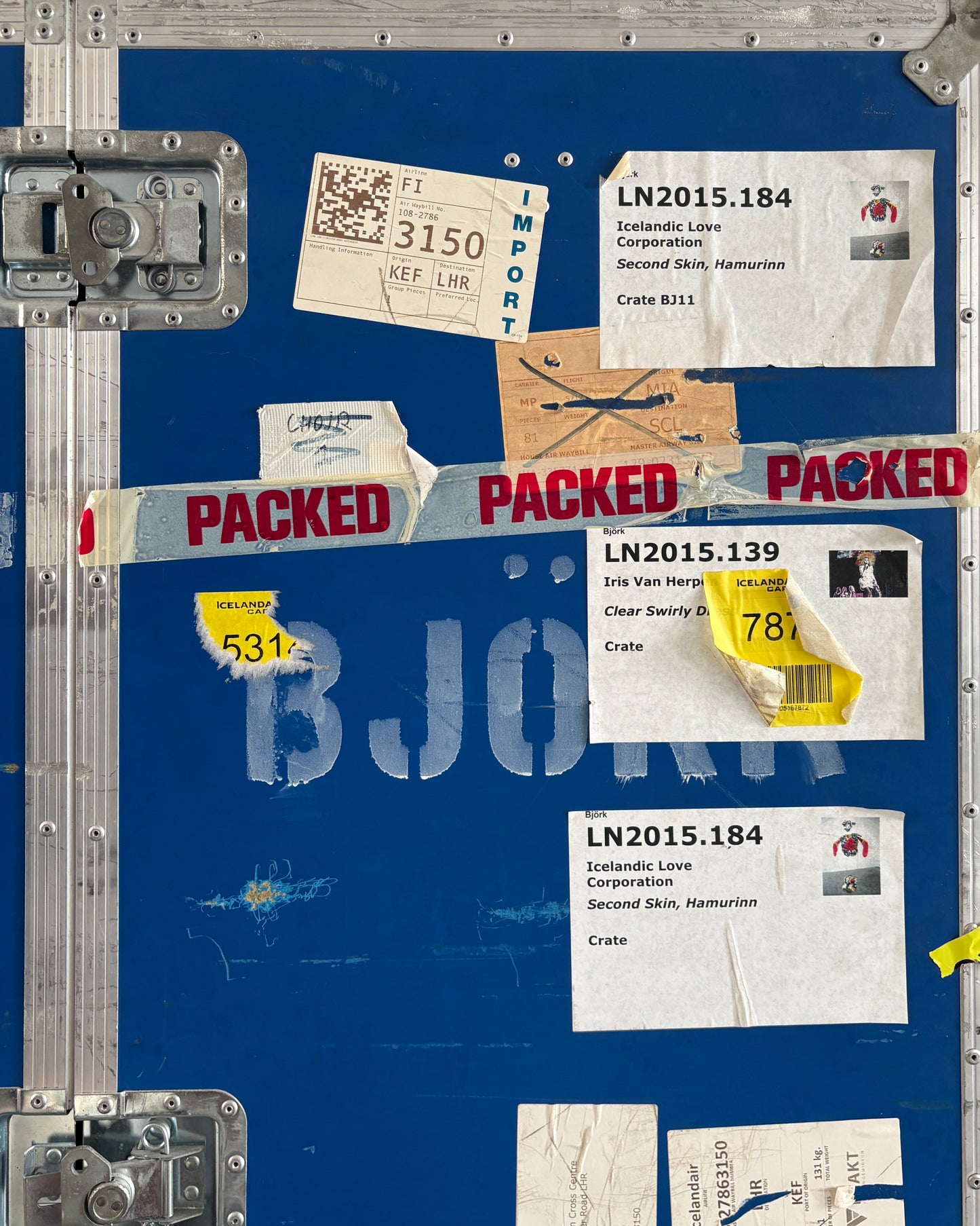 Bjork travel case