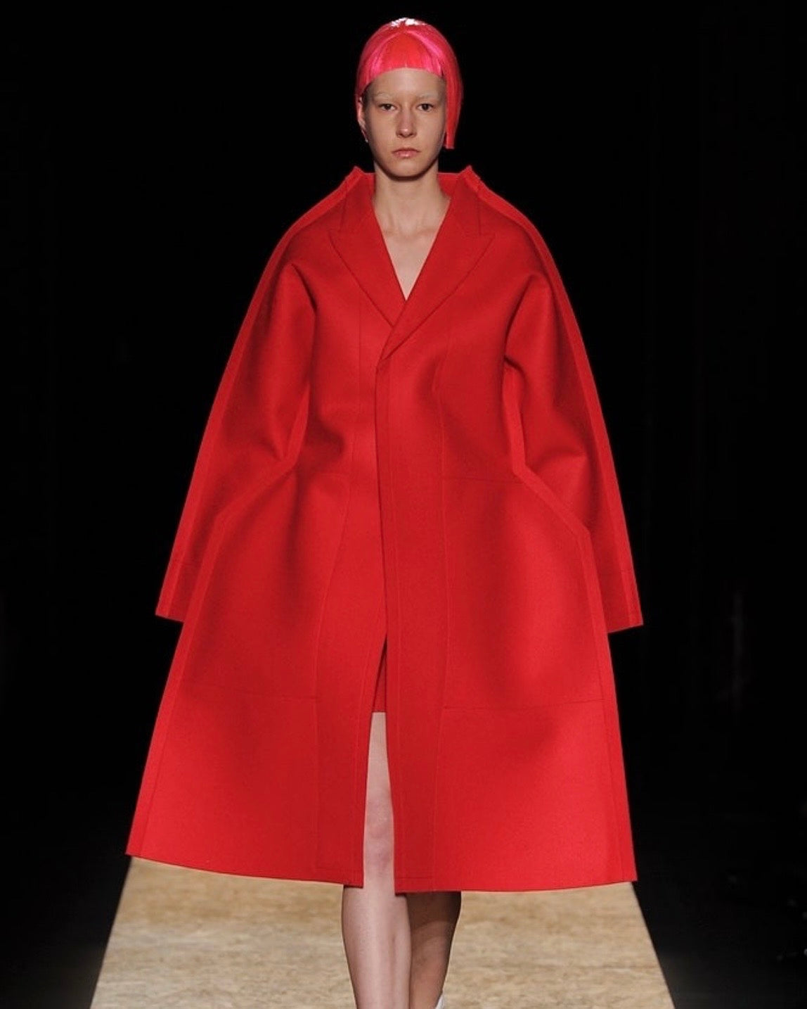 Comme des Garcons A/W 2012 poppy print 'flat' jacket